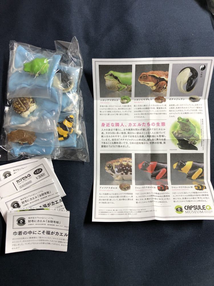 【最新作，お買い得】 カプセルQ お財布蛙 ヤドクガエル黄色 5種セット ニホンアマガエル ニホンヒキガエル オタマジャクシ 海洋堂 フィギュア お財布カエル(コミック、アニメ)｜売買されたオークション情報、yah その他