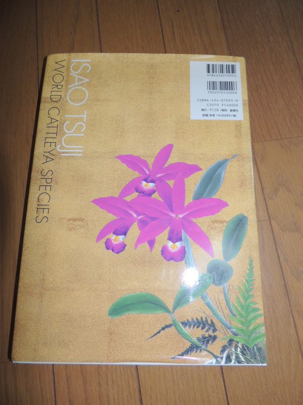 辻勲 原種カトレアの世界南米への熱き想い ISAO TSUJI CATTLEYA