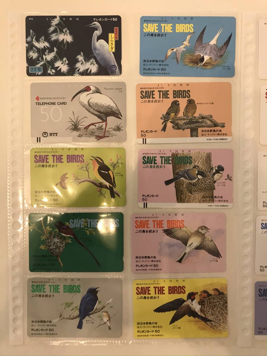 【大人気，格安】 品 テレホンカード 鳥③(その他)｜売買されたオークション情報、yahooの商品情報をアーカイブ公開 - オークファン その他