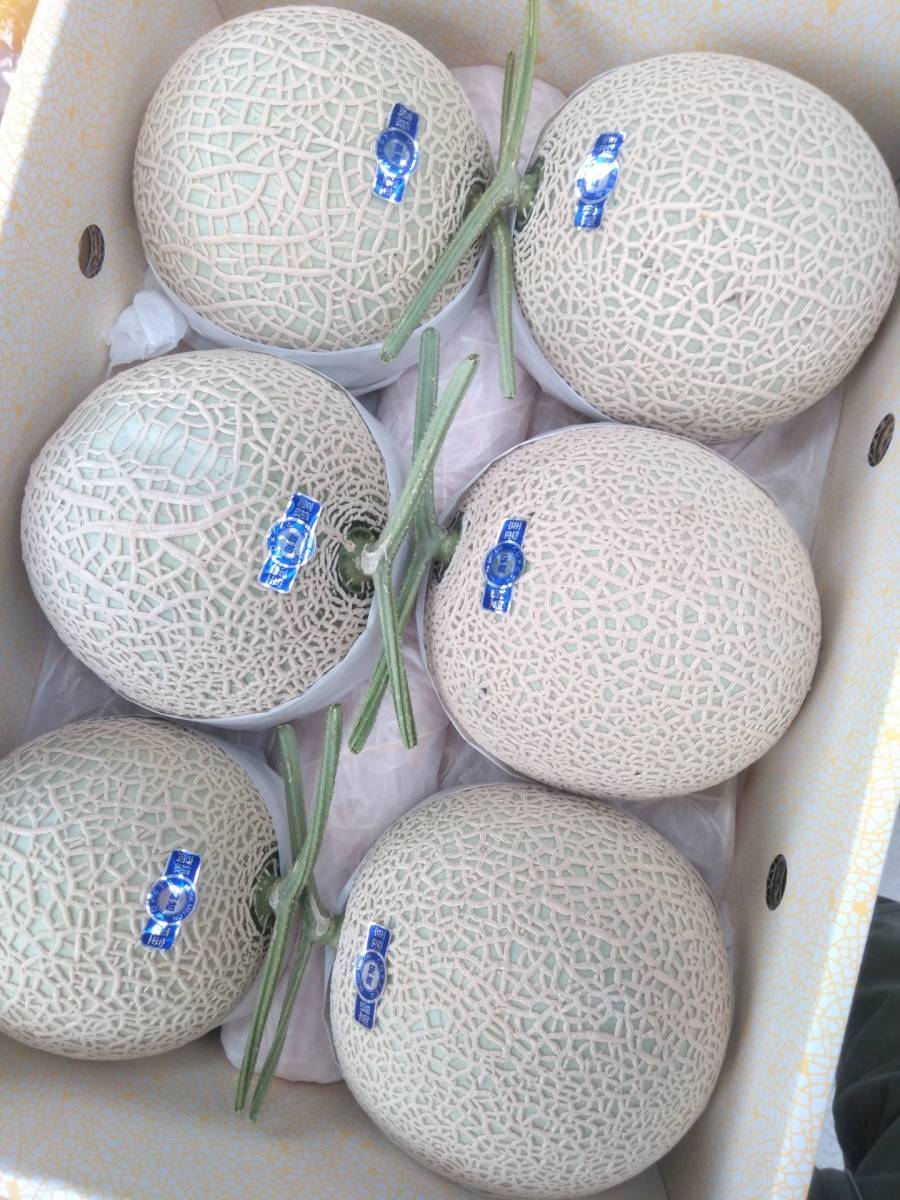 ♪送料無料 温室マスクメロン高知産 6玉 約9．0kg ,♪送料無料