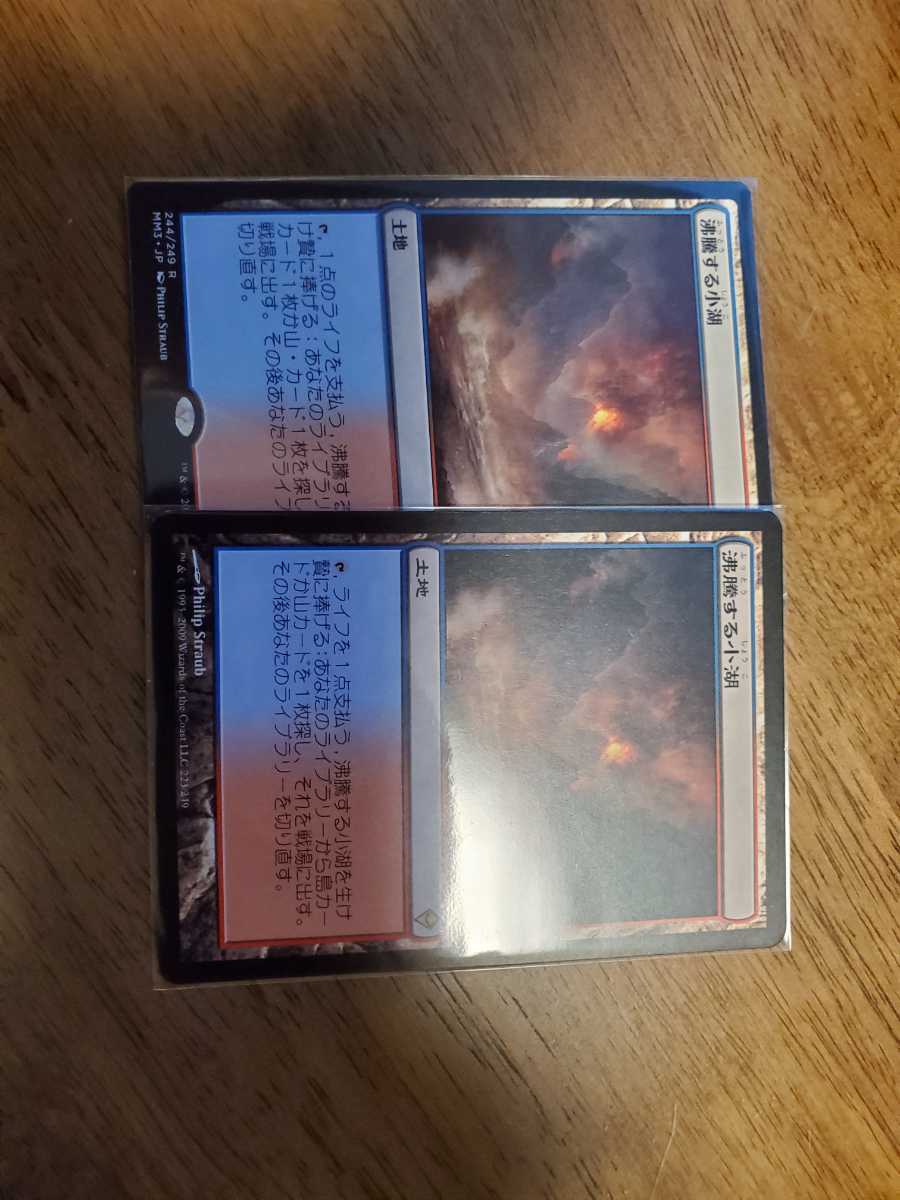 MTG 沸騰する小湖 土地R 2枚セット | 日本最大級 foil MH2
