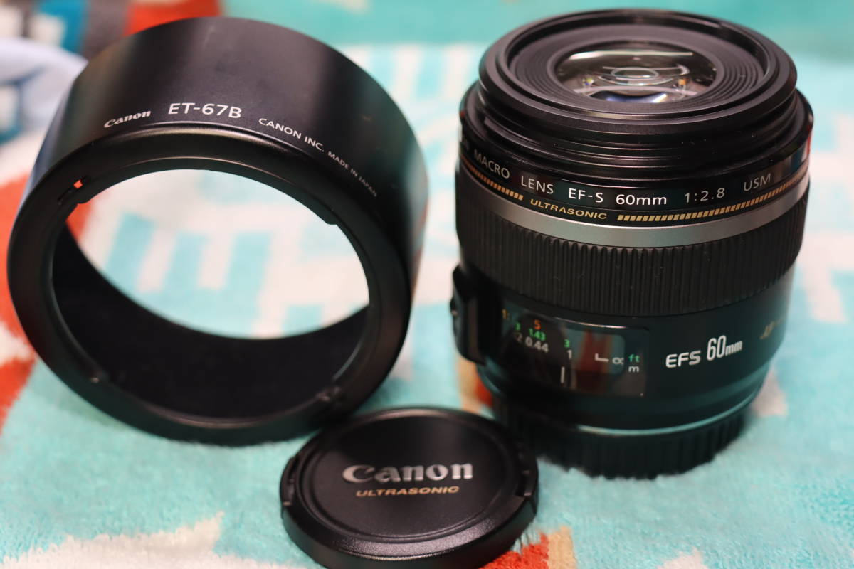 100-300mm EF Canon USM - f⁄4.5-5.6 L Review EF100-300mm 望遠ズーム 