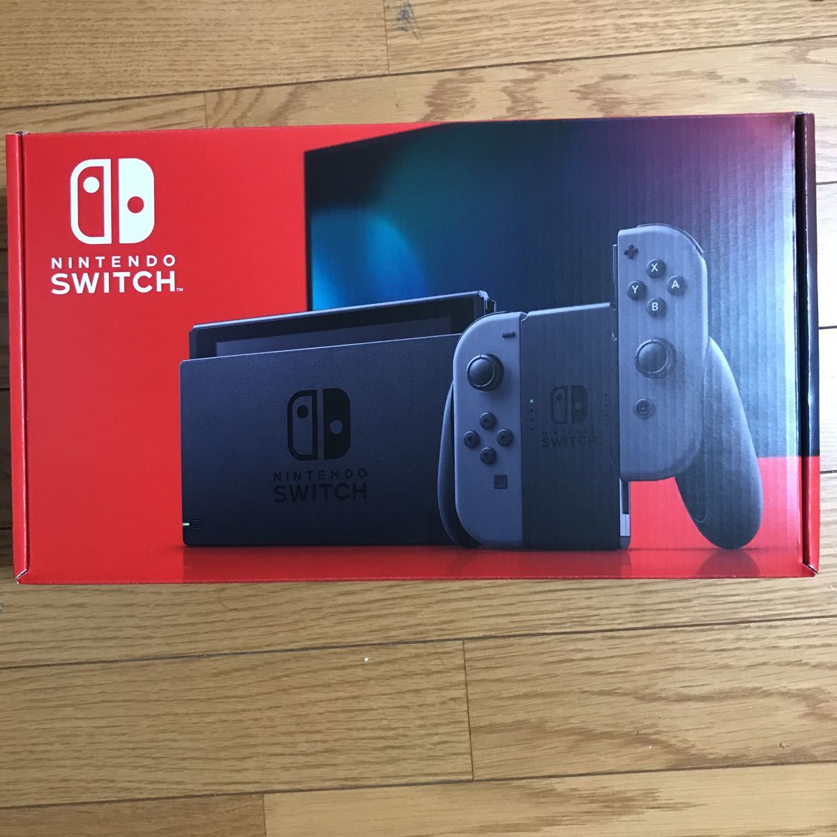Nintendo Switch ニンテンドースイッチ 大図書館の羊飼い Library 