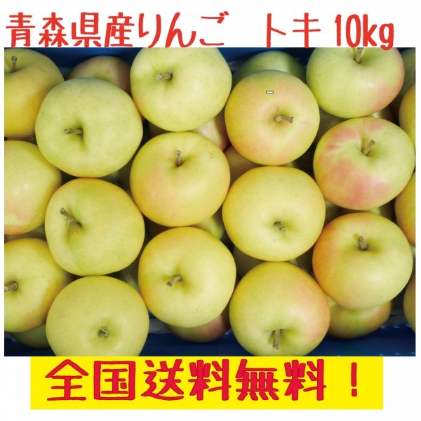 安い，新品 青森県産 りんご トキ ご家庭用 １０㎏ 全国(リンゴ)｜売買されたオークション情報、yahooの商品情報をアーカイブ公開 - オークファン リンゴ
