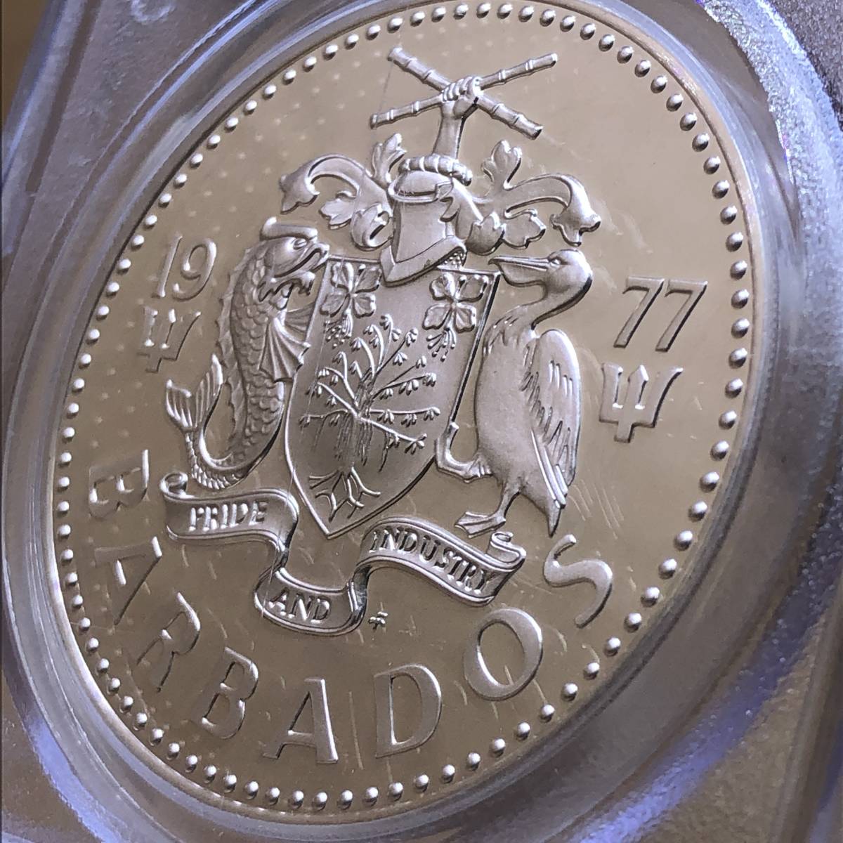  PCGS 最高鑑定 1977 FM バルバドス シルバー 銀貨 5ドル PCGS PR69 DCAM Barbados Silver KM-16a モダンコイン アンティークコイン(カリブ)｜売買されたオークション情報、yahooの商品情報をアーカイブ公開 - カリブ
