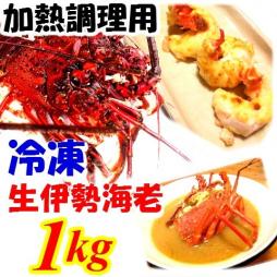 【 訳あり 冷凍伊勢海老 １キロ / 加熱用 】 三重県産/律丸