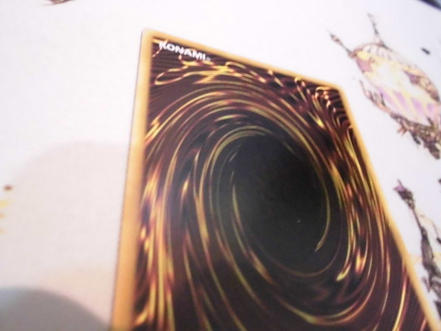 遊戯王 GLD5-EN001 英語 青眼の白龍 ホロレア Blue-Eyes White Dragon