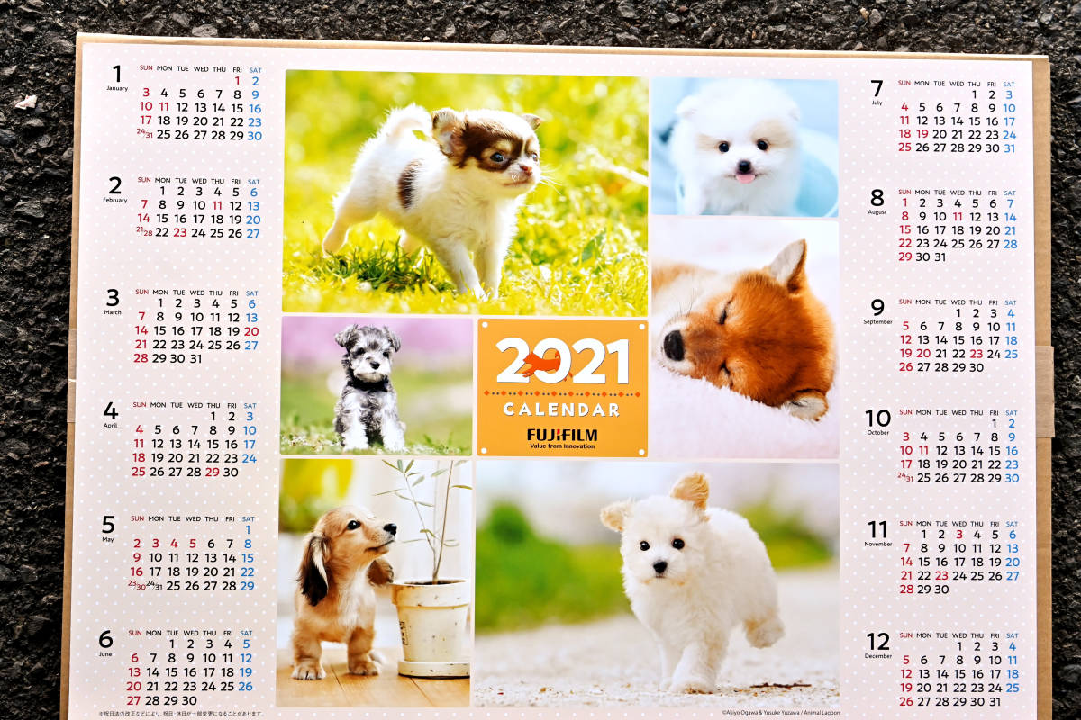 フジカラー ２０２１年 ペット ポスターカレンダー １枚 非売品 犬 猫 富士フィルム ネコ イヌ カレンダー 売買されたオークション情報 Yahooの商品情報をアーカイブ公開 オークファン Aucfan Com
