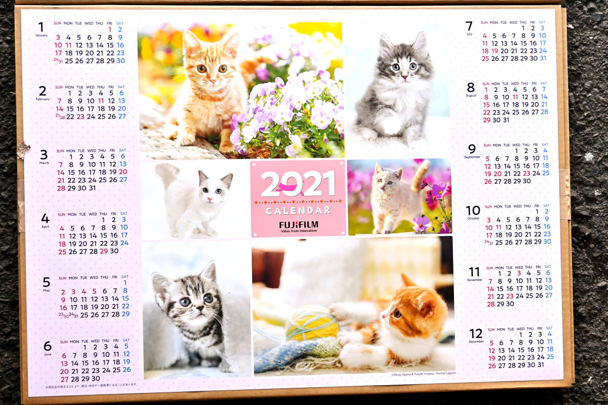 フジカラー ２０２１年 ペット ポスターカレンダー １枚 非売品 犬 猫 富士フィルム ネコ イヌ カレンダー 売買されたオークション情報 Yahooの商品情報をアーカイブ公開 オークファン Aucfan Com