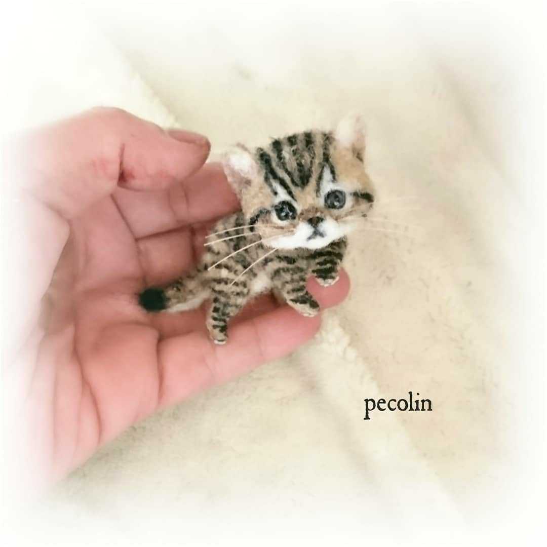 Peco Lin 羊毛フェルト レザークラフト よちよち歩くキジトラの子猫と 本革製収納バッグ 猫 子猫 インテリア ミニチュアドール 羊毛フェルト 売買されたオークション情報 Yahooの商品情報をアーカイブ公開 オークファン Aucfan Com