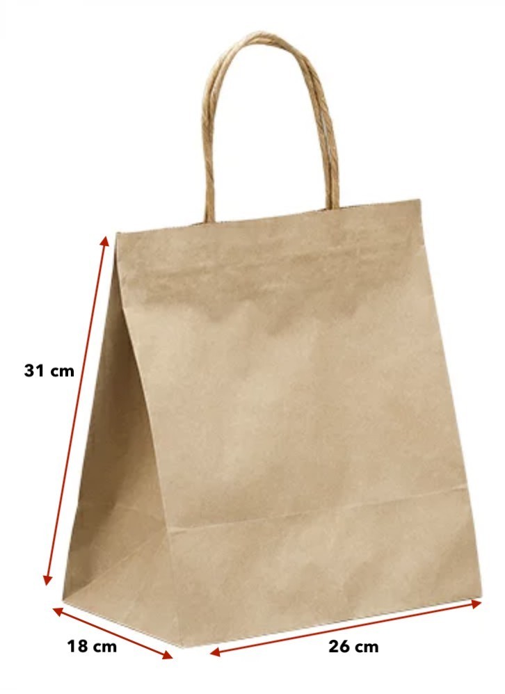 未使用 幅260×マチ180×高310mm ヘイコー 紙袋 未晒無地 50枚入_1