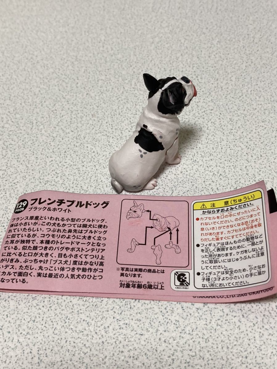 チョコq 第5弾 フレンチブルドッグ ブラック ホワイト ブリンドル ホワイト 2個セット 開封品 タカラ 海洋堂 1ミニブック付き 生き物 売買されたオークション情報 Yahooの商品情報をアーカイブ公開 オークファン Aucfan Com