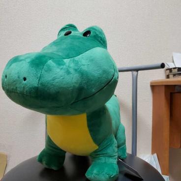 たべっ子どうぶつ Bigぬいぐるみ わに ワニ ジャンボ グッズ プライズ たべっこどうぶつ 動物 売買されたオークション情報 Yahooの商品情報をアーカイブ公開 オークファン Aucfan Com