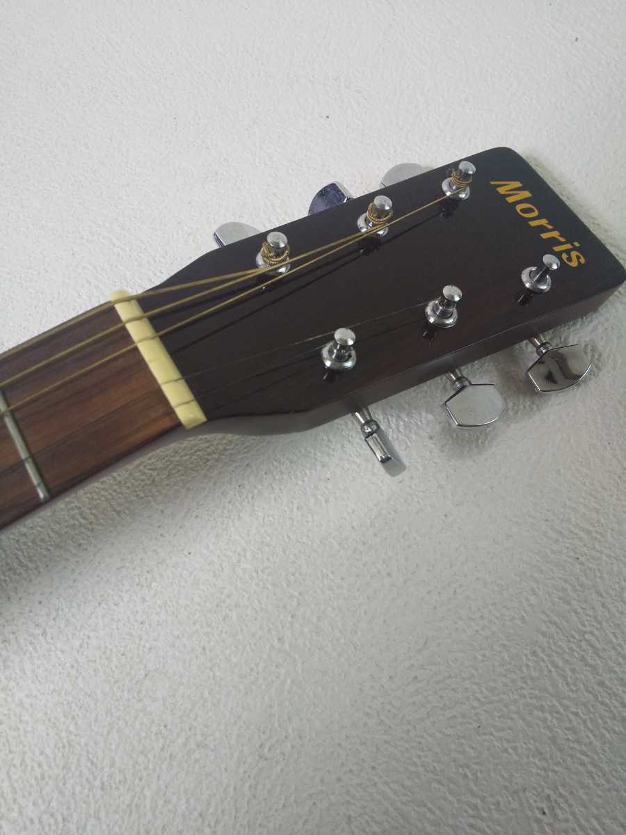 Morris モーリス　アコースティックギター 　MD-502 MD-502 Morris | TS尾張小牧店 生産完了品 レビュー