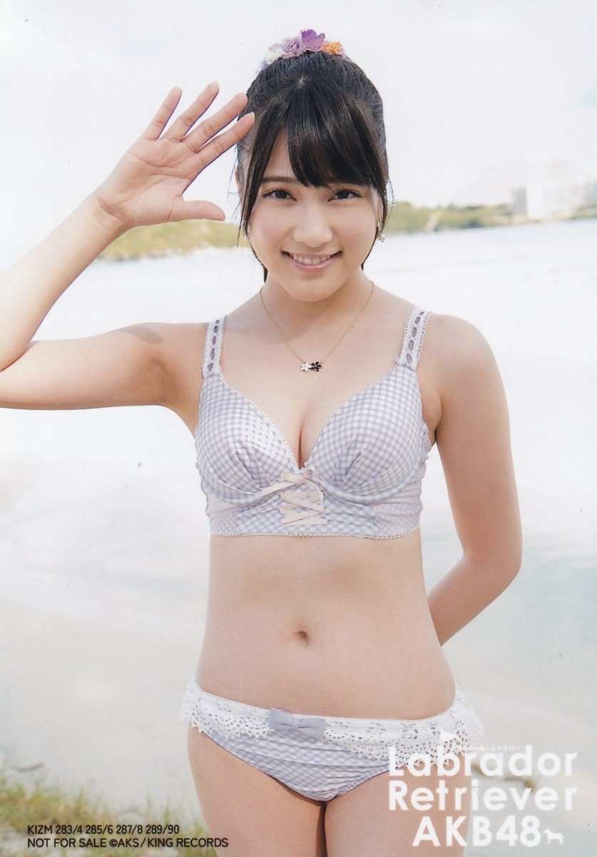 Akb48 入山杏奈 ラブラドール レトリバー 封入 特典 生写真 水着ヒキ 写真 売買されたオークション情報 Yahooの商品情報をアーカイブ公開 オークファン Aucfan Com