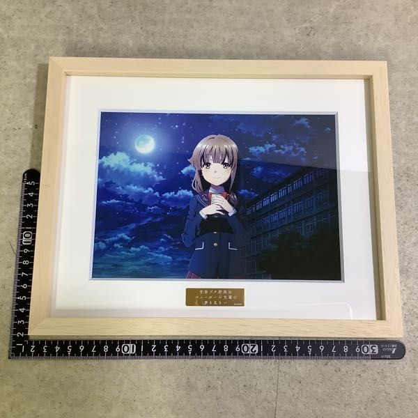 青春ブタ野郎はバニーガール先輩の夢をみない キャラファイングラフ 梓川
