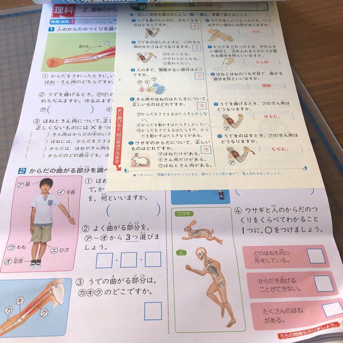 Yd136 理科n てんまる ドリル 小学4年生 上 前 テスト プリント 予習 復習 成績up 国語 算数 理科 社会 英語 家庭科 学校教材 小学校 売買されたオークション情報 Yahooの商品情報をアーカイブ公開 オークファン Aucfan Com