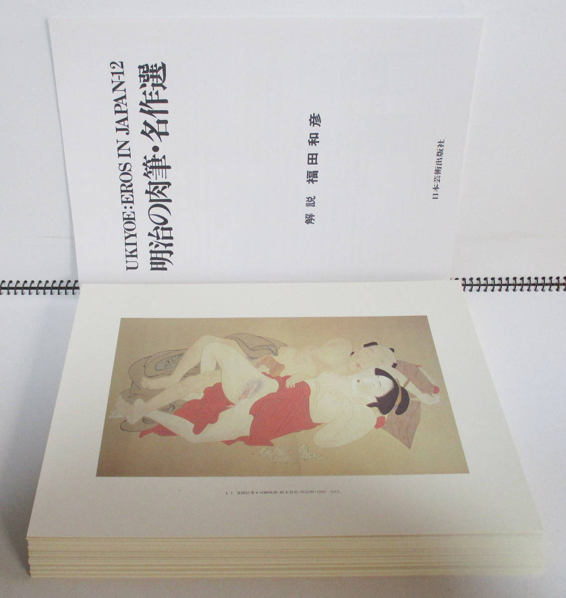 明治の肉筆画 名作選 50選 春画 枕絵 画集 河鍋暁斎 富岡永洗か 他 の 