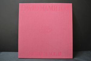 DAVID HAMILTONのYahoo!オークション(旧ヤフオク!)の相場・価格を見る