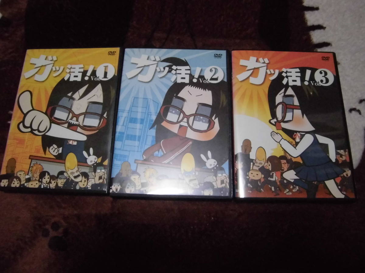 全商品オープニング価格特別価格 ガッ活 Dvd Espaciomalvon Com Ar 全商品オープニング価格特別価格 ガッ活 Dvd Espaciomalvon Com Ar