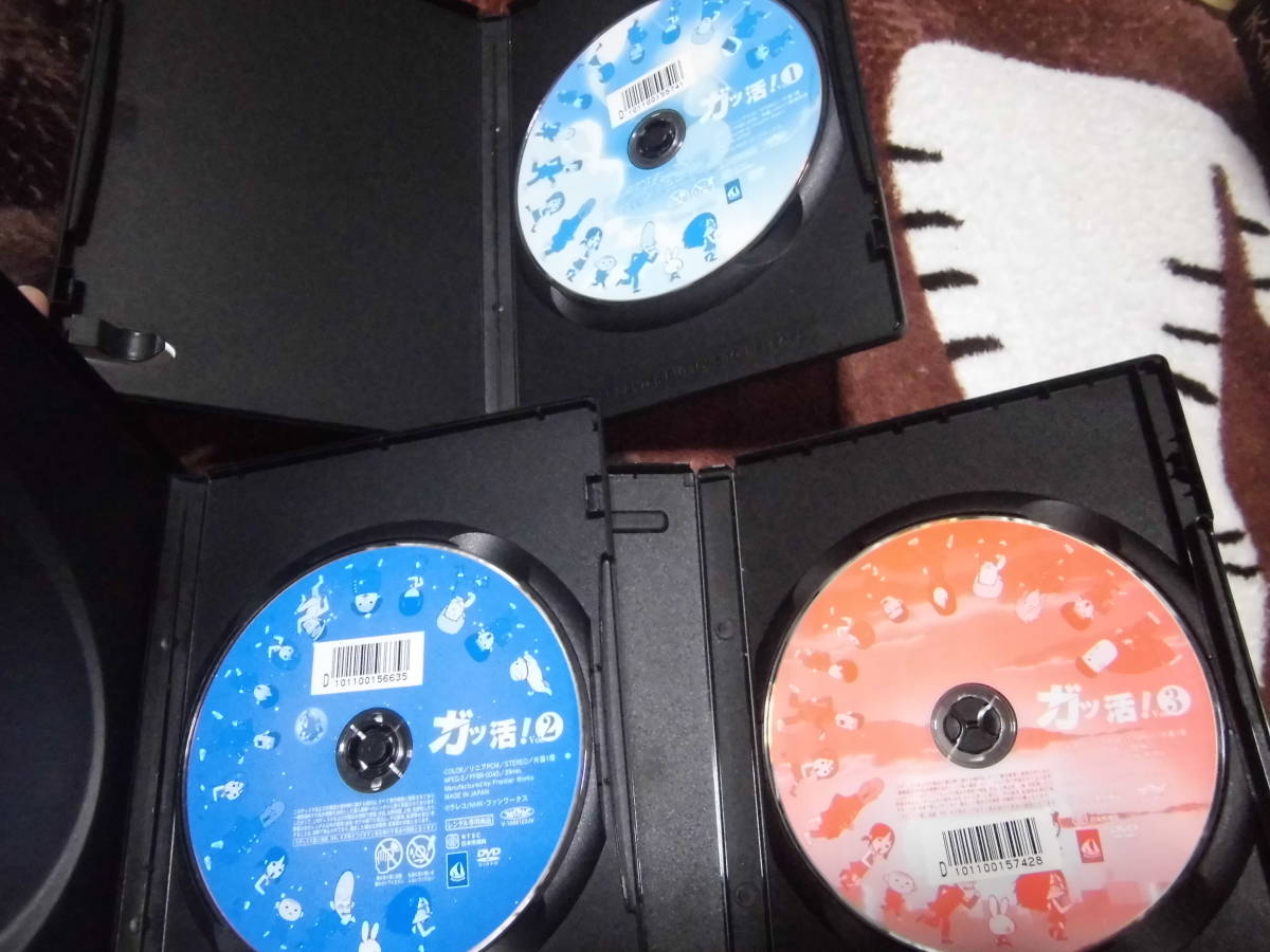 全商品オープニング価格特別価格 ガッ活 Dvd Espaciomalvon Com Ar 全商品オープニング価格特別価格 ガッ活 Dvd Espaciomalvon Com Ar