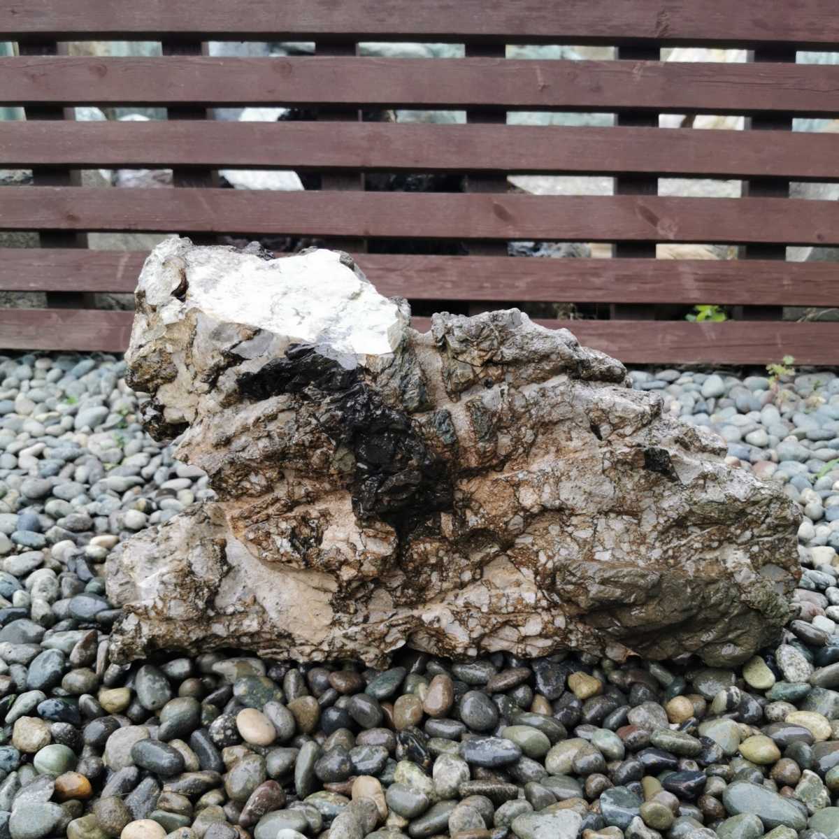 秩父産竜岩石11.2キロ 庭石鑑賞石盆石水石灯籠庭坪庭盆栽ガーデニング 