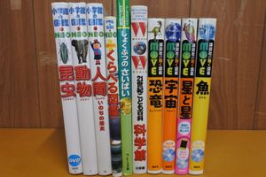 ムツゴロウのゆかいな動物図鑑 コンプリートbox 6枚組 Btc Com Tw