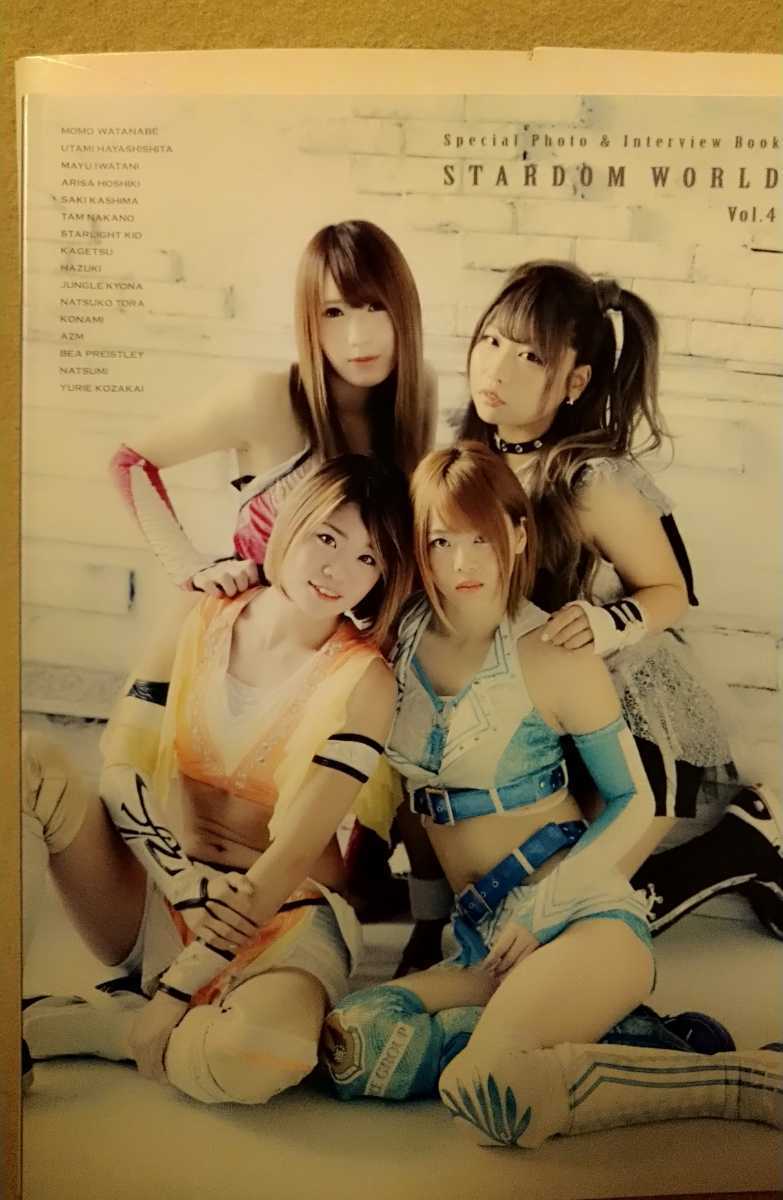 スターダム　星輝ありさ / 写真集 スターダム STARDOM 写真集 女子プロレス WORLD4 星輝ありさ 中野