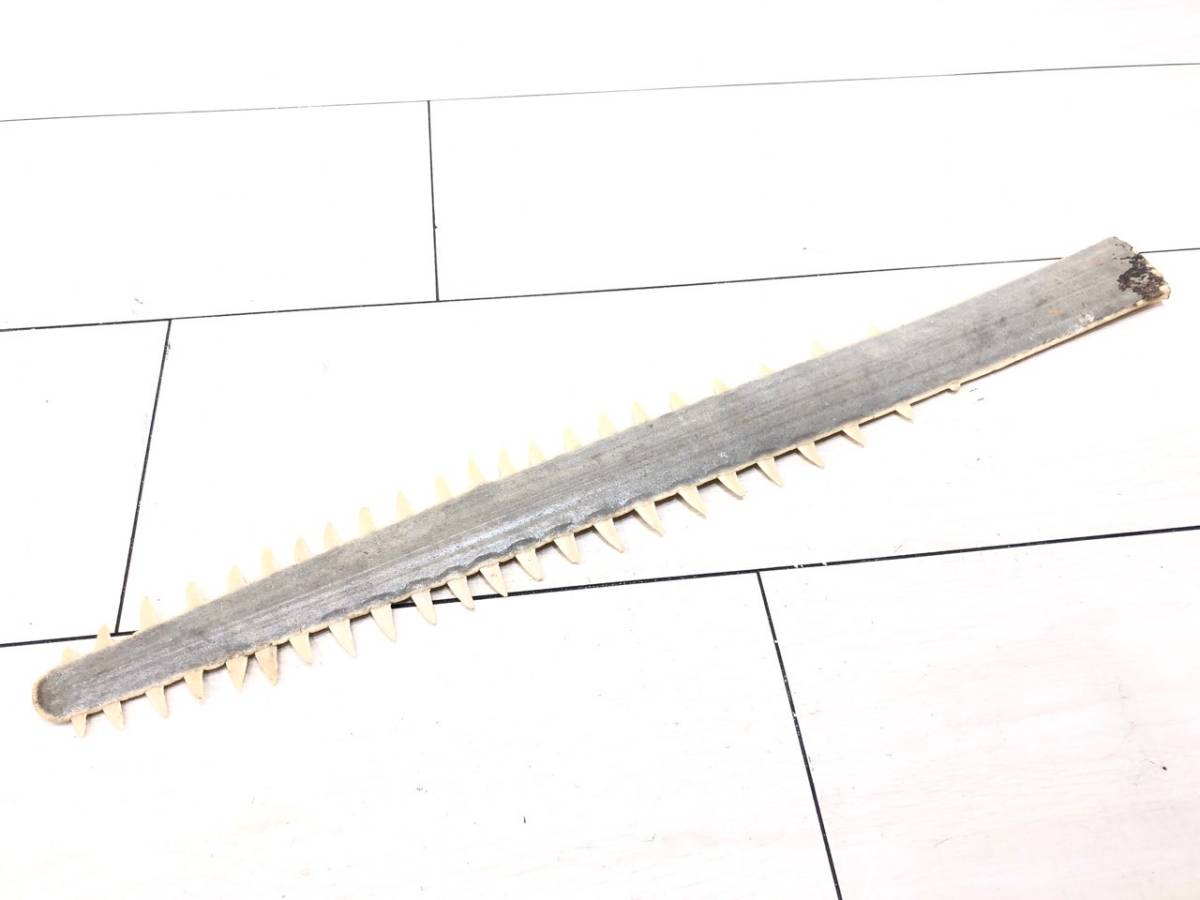 驚きの破格値 7/081 品 ノコギルザメ のこぎり部 歯 サメ 骨 標本 オブジェ 置物 全長約48.5cm(科学、自然)｜売買されたオークション情報、yahooの商品情報をアーカイブ公開 - オークファン その他