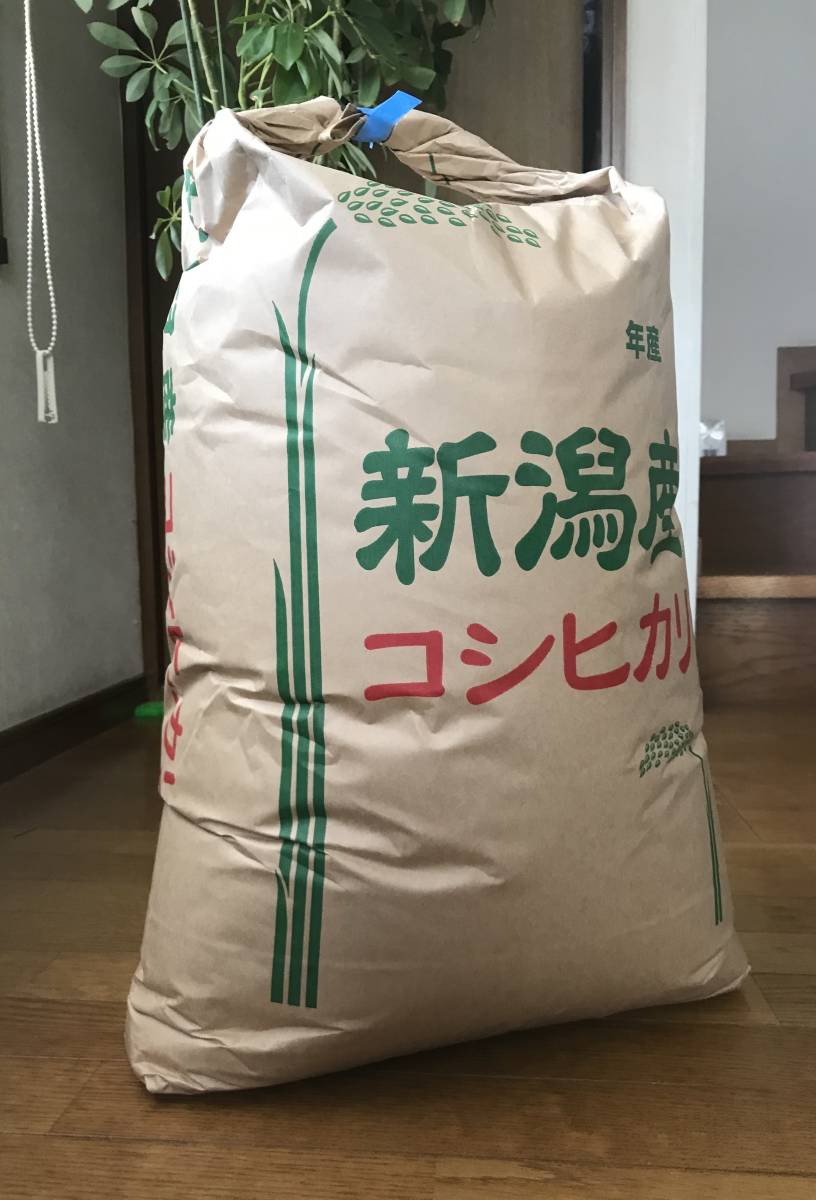 新米】令和2年！新潟県産特別栽培米コシヒカリ玄米！20kg！農家直送！