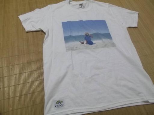 キリンレモン 白 半袖 女性ビーチ柄 Tシャツ フルーツオブザルーム イラスト キャラクター 売買されたオークション情報 Yahooの商品情報をアーカイブ公開 オークファン Aucfan Com