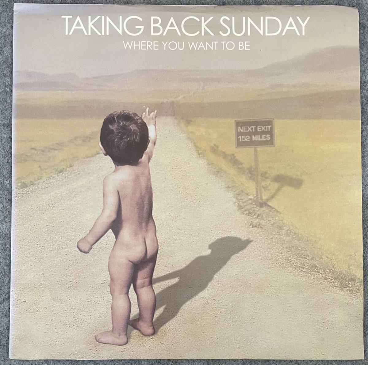 品質保証，定番人気 TAKING BACK SUNDAY / WHERE YOU WANT TO BE LP レコード VICTORY USオリジナル盤(一般)｜売買されたオークション情報、yahooの商品情報をアーカイブ公開 - オークファン 一般