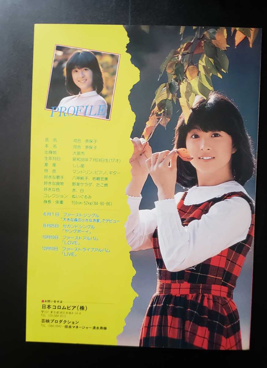 非売品 河合奈保子 愛してます 販促用 パンフレット B5サイズ 182mm