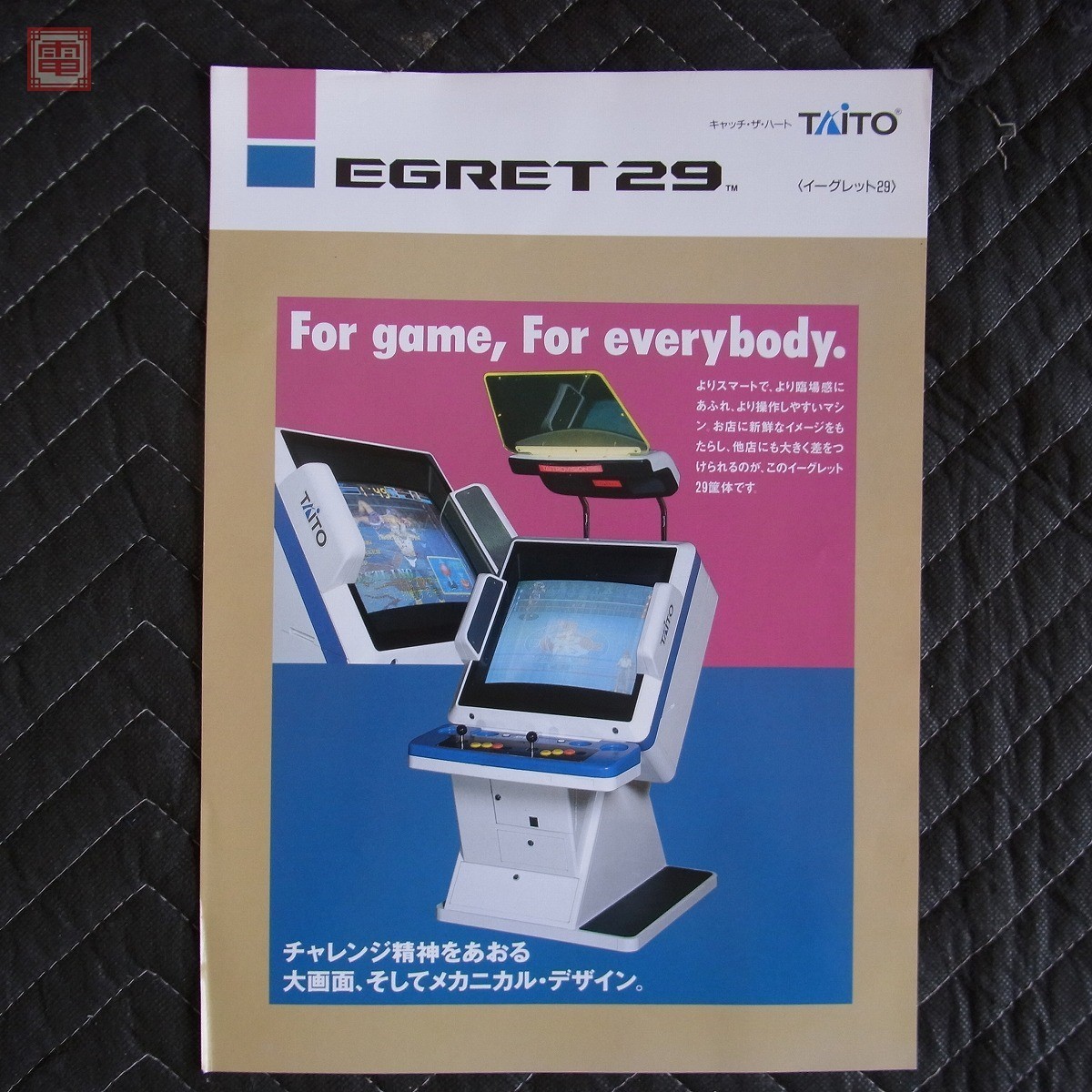 Taito タイトー EGRET 29 イーグレット インストパネル ①
