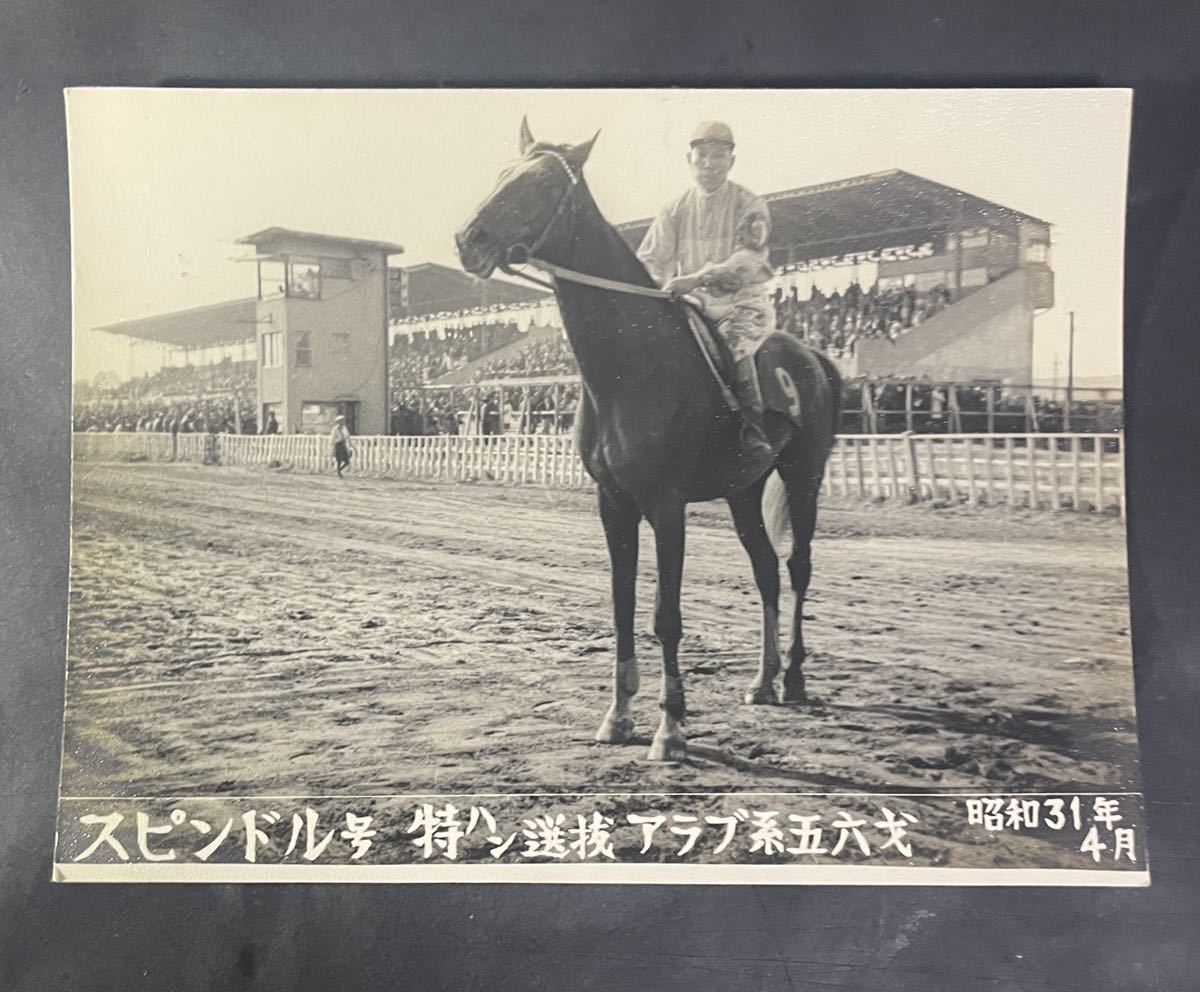 競馬写真 1950年代 スポーツグラフ社 スピンドル号特ハン選抜アラブ系56式昭和31年 ナニワフクイサミ昭和29年一着 ローヒデ 紀三井寺競馬場 印刷物 売買されたオークション情報 Yahooの商品情報をアーカイブ公開 オークファン Aucfan Com