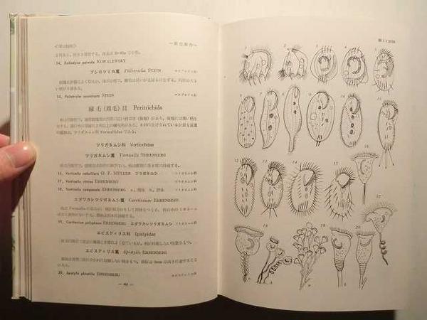 日本淡水プランクトン図鑑/水野壽彦/保育社(生物学)｜売買された