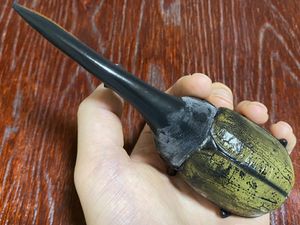 ヘラクレス 標本のヤフオク の相場 価格を見る ヤフオク のヘラクレス 標本のオークション売買情報は27件が掲載されています