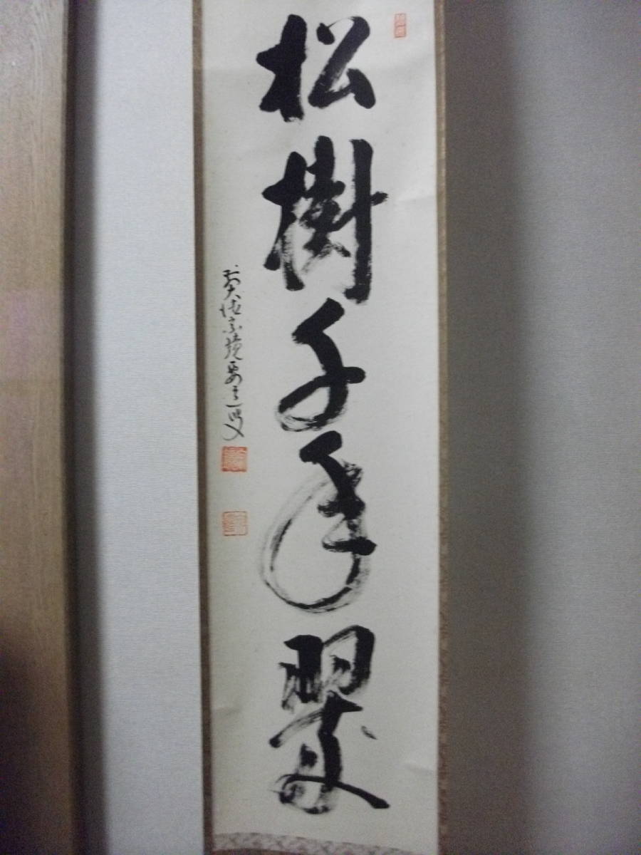 大徳寺 掛け軸 真筆掛軸 x03874 共箱付 小室大心『松樹千年翠』紙