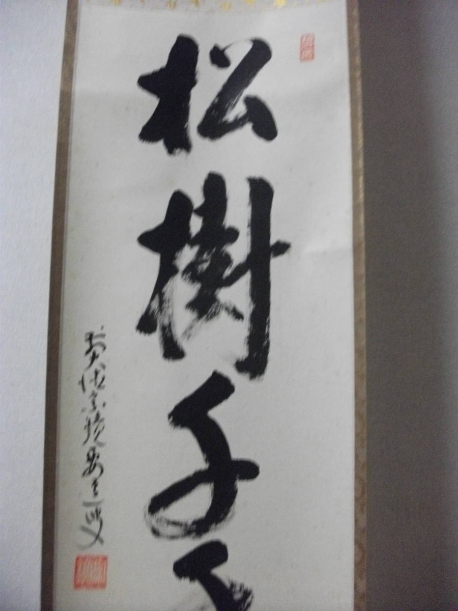 大徳寺 掛け軸 真筆掛軸 x03874 共箱付 小室大心『松樹千年翠』紙