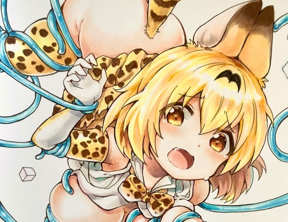 手描きイラスト サーバルちゃん けものフレンズ けもフレ 手描きイラスト 売買されたオークション情報 Yahooの商品情報をアーカイブ公開 オークファン Aucfan Com