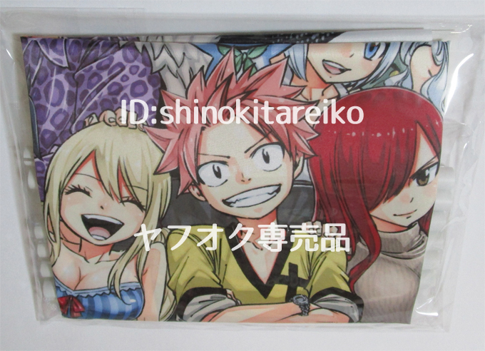 FAIRY TAIL Tapestry Fairy Tail | B2タペストリー フェアリーテイル