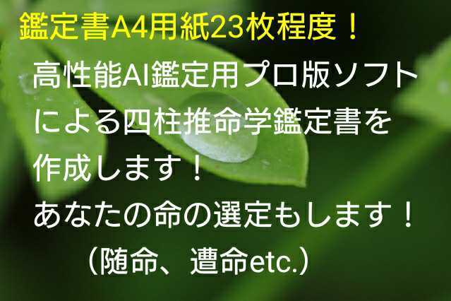 占い鑑定 高性能AI鑑定用プロ版ソフトによる四柱推命学鑑定書を作成します。