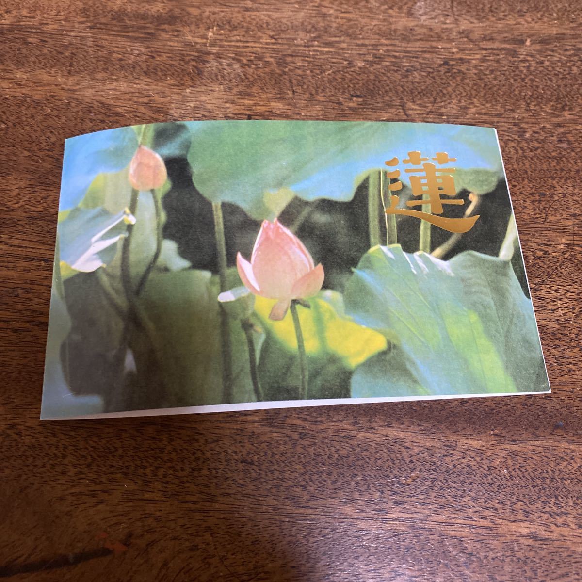 中国切手 T54 4種完 蓮の花