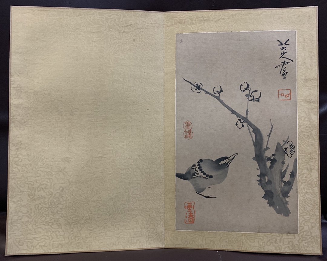 徳】旧家蔵出 中国書画 『清代 八大山人 花鳥図册頁 六幀頁 紙本 肉筆