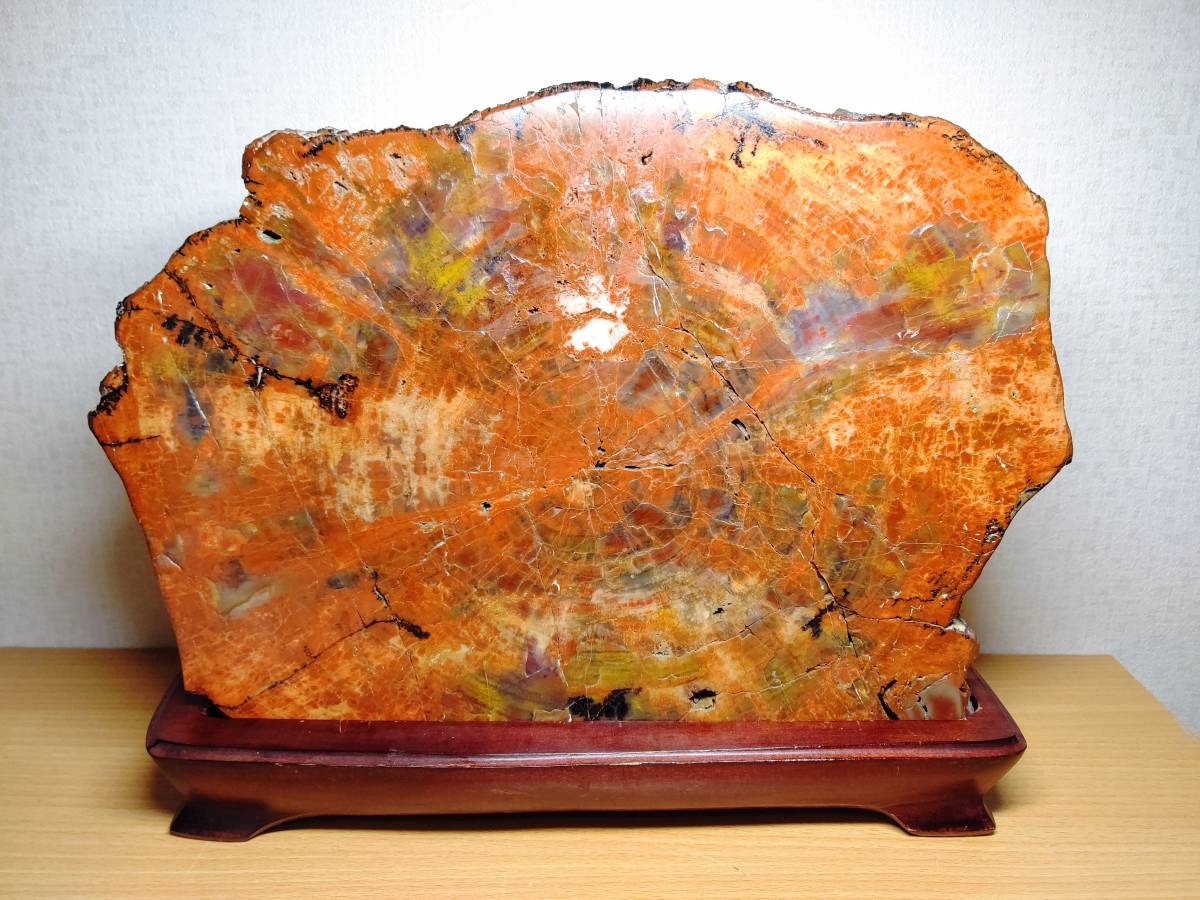 アリゾナ】◇12.8kg◇ 珪化木 ジャスパー 原石 碧玉 風水 開運 誕生石