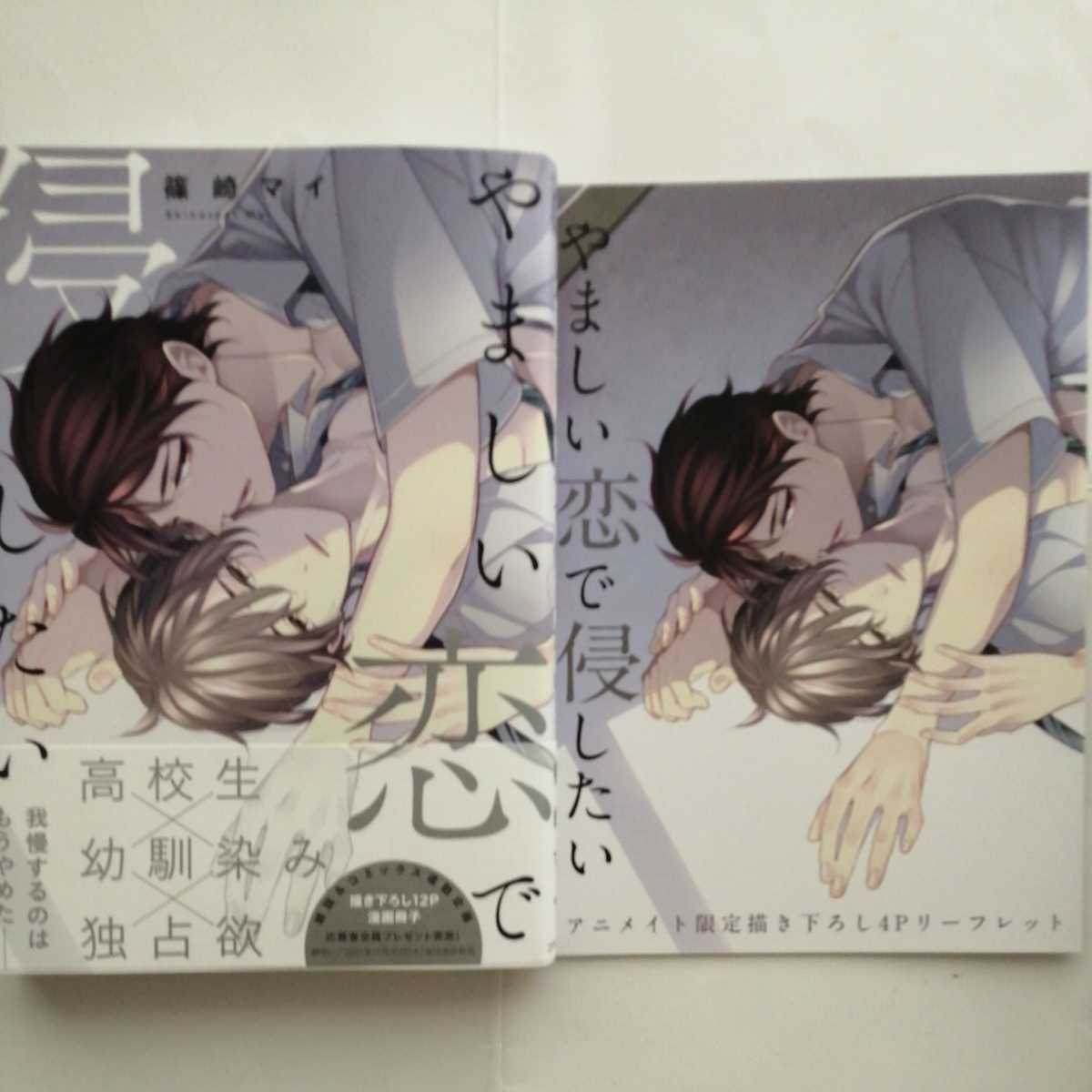 やましい恋 侵したい 篠崎マイ アニメイト特典リーフレット 漫画冊子応募券付 ボーイズラブ 売買されたオークション情報 Yahooの商品情報をアーカイブ公開 オークファン Aucfan Com