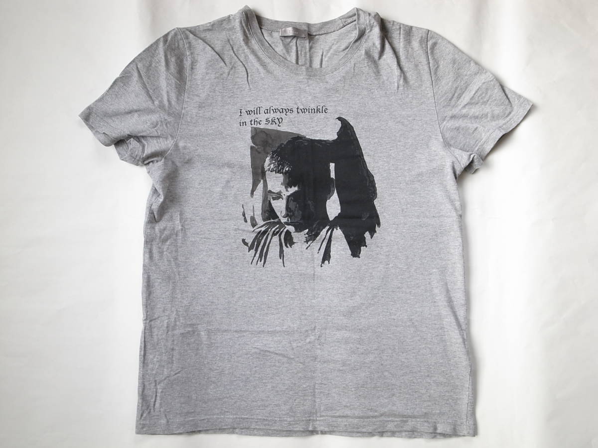 Mサイズ Dior homme 2006 エディ期 Tシャツ ディオールオム グレー(M  