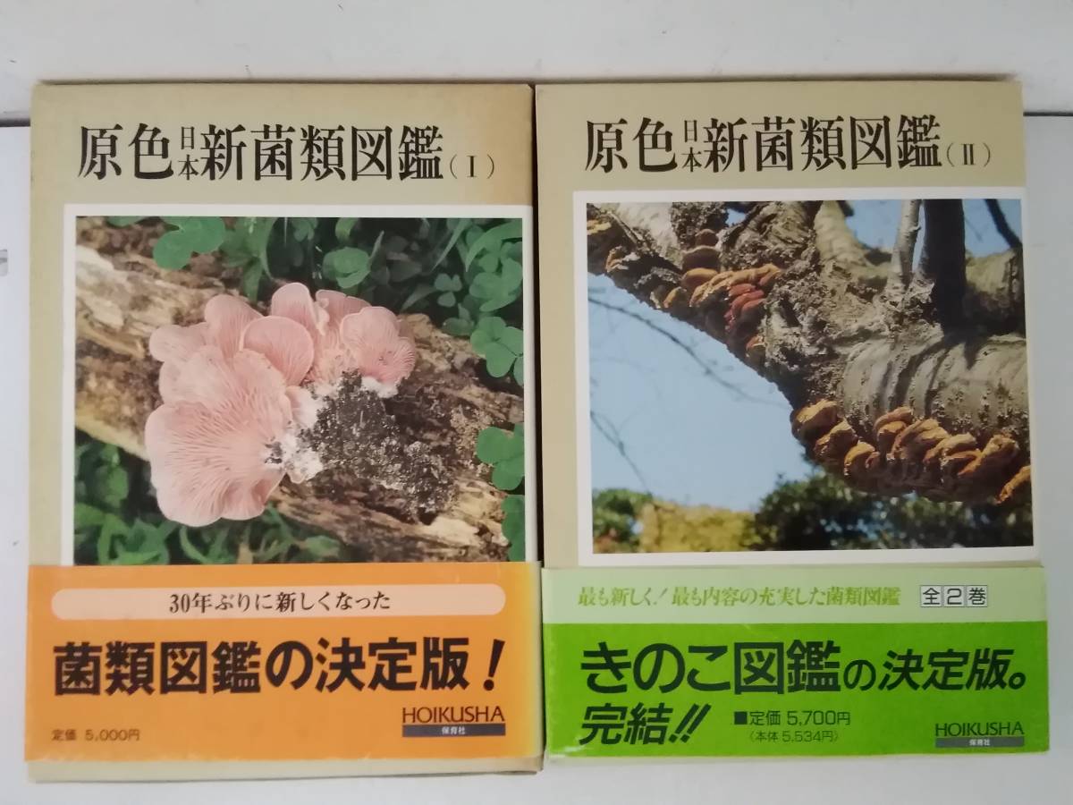 p660 原色日本新菌類図鑑1 2 保育社の原色図鑑75 76 帯付 保育社 昭和62年 平成元年 初版 キノコ 1Gb4(野草、植物)|売買 ...