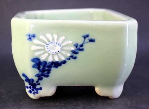 梅鉢 瀬戸焼 尾張焼 青磁 盆栽鉢 蘭鉢 植木鉢 盆栽 盆栽小鉢