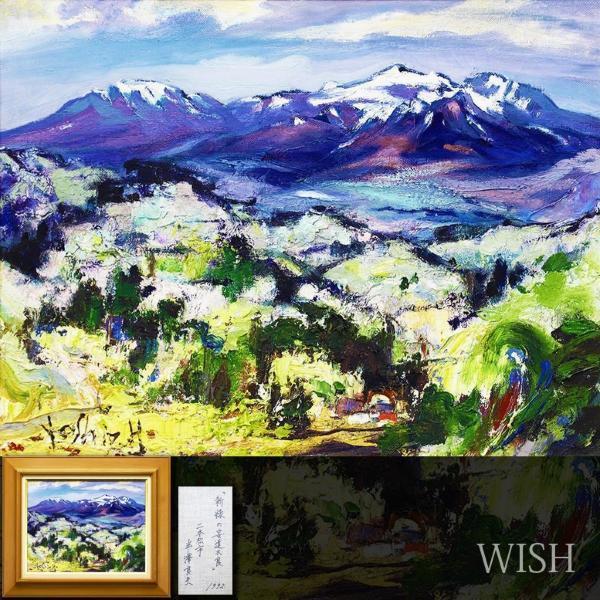 真作】【WISH】半沢良夫「新緑の安達太良 二本松市」油彩 6号 1992年作